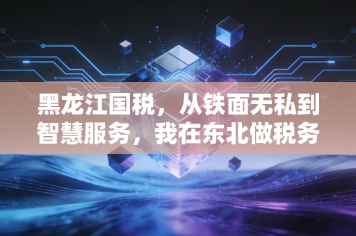 黑龙江国税，从铁面无私到智慧服务，我在东北做税务审计的这十年亲历记