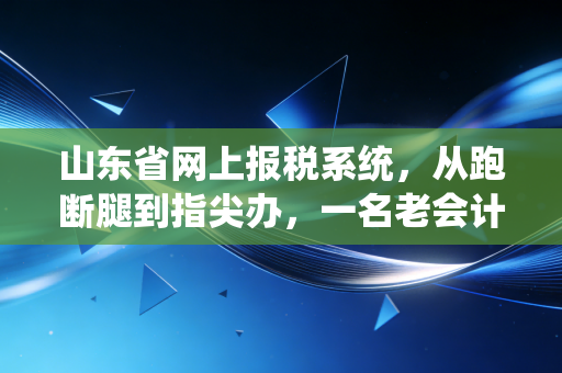 山东省网上报税系统，从跑断腿到指尖办，一名老会计的亲历与思考