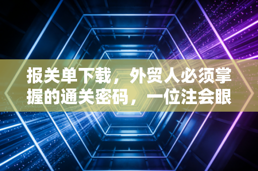 报关单下载，外贸人必须掌握的通关密码，一位注会眼中的合规与效率