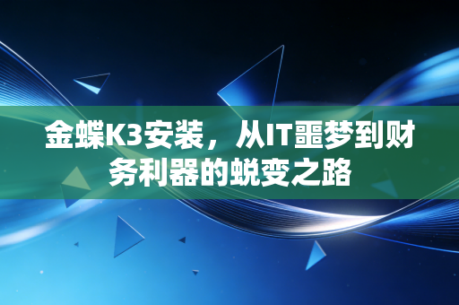 金蝶K3安装，从IT噩梦到财务利器的蜕变之路
