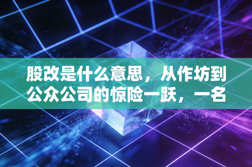 股改是什么意思，从作坊到公众公司的惊险一跃，一名注会眼中的企业蜕变