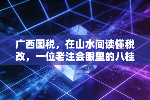 广西国税，在山水间读懂税改，一位老注会眼里的八桂税务变迁