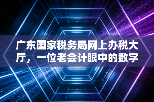 广东国家税务局网上办税大厅，一位老会计眼中的数字税务变迁与实操心得