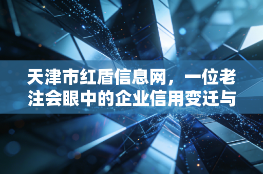 天津市红盾信息网,一位老注会眼中的企业信用变迁与审计实战手记