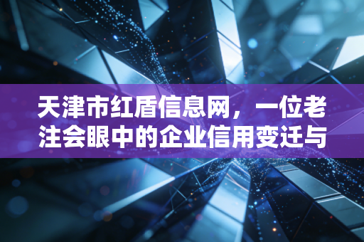 天津市红盾信息网,一位老注会眼中的企业信用变迁与审计实战手记