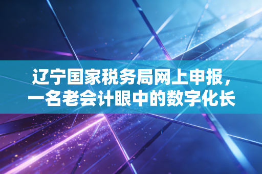 辽宁国家税务局网上申报，一名老会计眼中的数字化长征与实操避坑指南