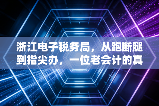 浙江电子税务局，从跑断腿到指尖办，一位老会计的真心话