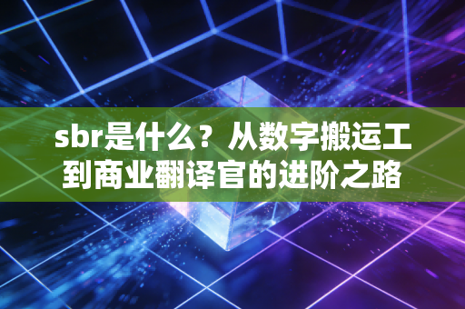 sbr是什么？从数字搬运工到商业翻译官的进阶之路
