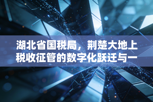 湖北省国税局，荆楚大地上税收征管的数字化跃迁与一位CPA的执业手记