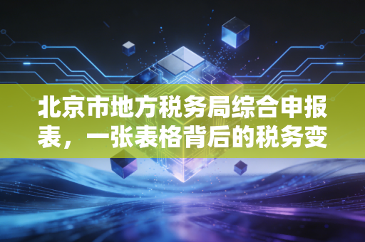 北京市地方税务局综合申报表，一张表格背后的税务变迁与会计人的爱恨情仇