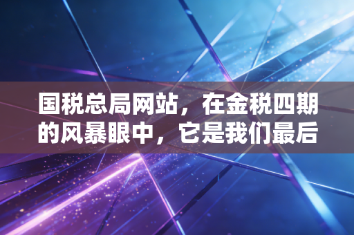 国税总局网站，在金税四期的风暴眼中，它是我们最后的安全岛