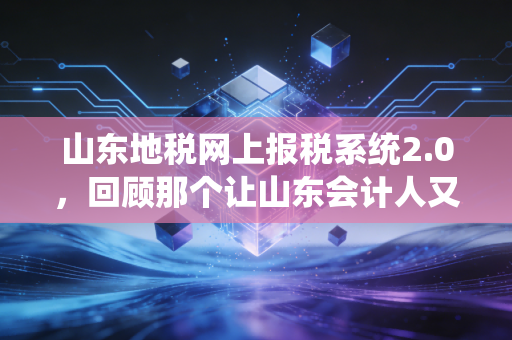 山东地税网上报税系统2.0，回顾那个让山东会计人又爱又恨的数字化里程碑