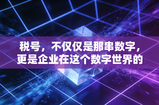 税号，不仅仅是那串数字，更是企业在这个数字世界的身份证