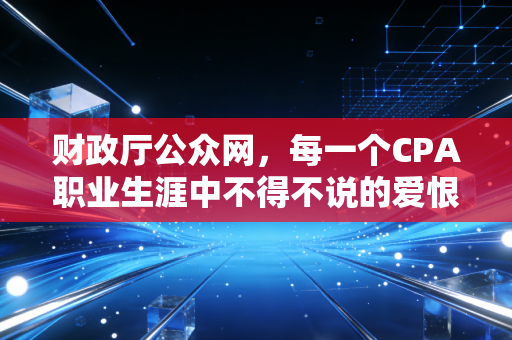 财政厅公众网，每一个CPA职业生涯中不得不说的爱恨情仇