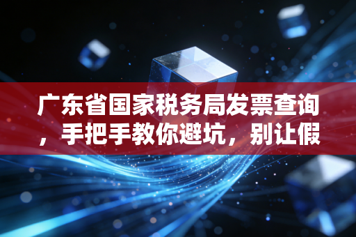 广东省国家税务局发票查询，手把手教你避坑，别让假发票毁了你的报销单