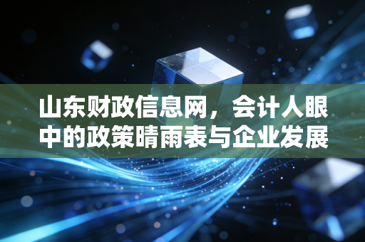 山东财政信息网,会计人眼中的政策晴雨表与企业发展的导航仪