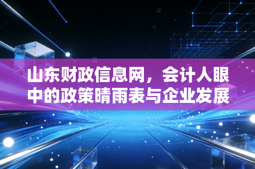 山东财政信息网,会计人眼中的政策晴雨表与企业发展的导航仪