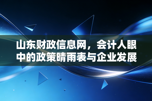 山东财政信息网，会计人眼中的政策晴雨表与企业发展的导航仪
