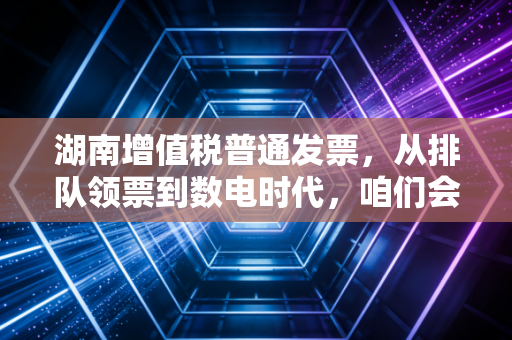 湖南增值税普通发票，从排队领票到数电时代，咱们会计人的那些痛与悟