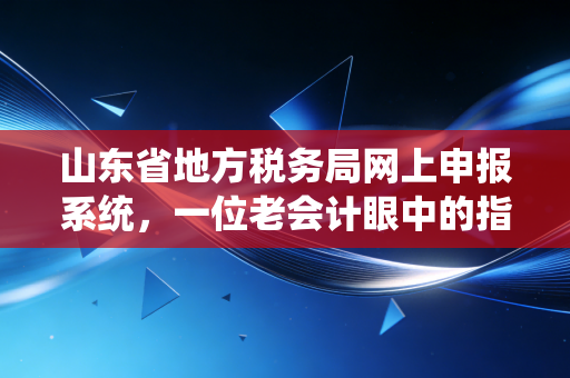 山东省地方税务局网上申报系统,一位老会计眼中的指尖革命与财税变迁