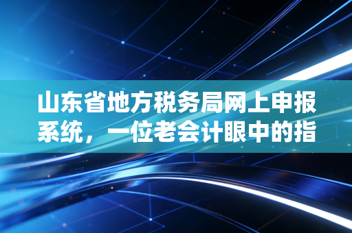 山东省地方税务局网上申报系统，一位老会计眼中的指尖革命与财税变迁