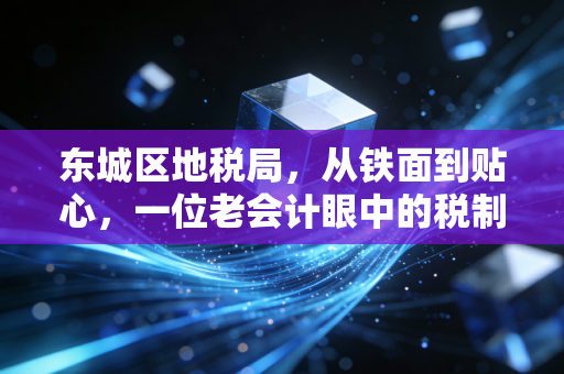 东城区地税局，从铁面到贴心，一位老会计眼中的税制变迁与人文温度