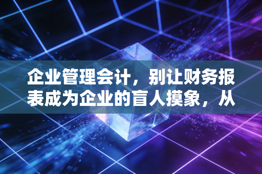 企业管理会计，别让财务报表成为企业的盲人摸象，从核算走向价值创造