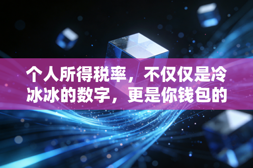 个人所得税率，不仅仅是冷冰冰的数字，更是你钱包的温度计