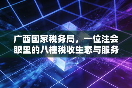 广西国家税务局，一位注会眼里的八桂税收生态与服务变迁