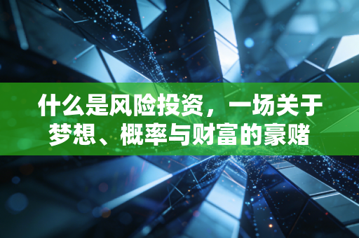 什么是风险投资，一场关于梦想、概率与财富的豪赌