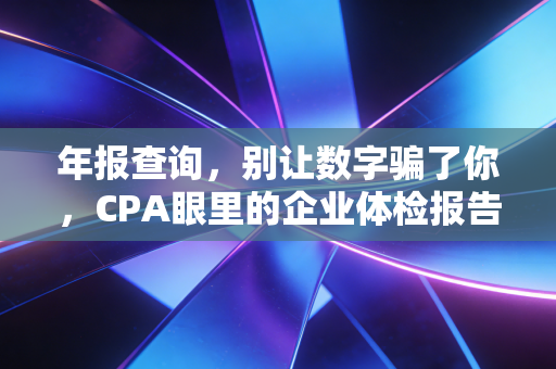 年报查询，别让数字骗了你，CPA眼里的企业体检报告
