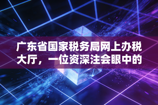 广东省国家税务局网上办税大厅,一位资深注会眼中的数字化征途与实战心法