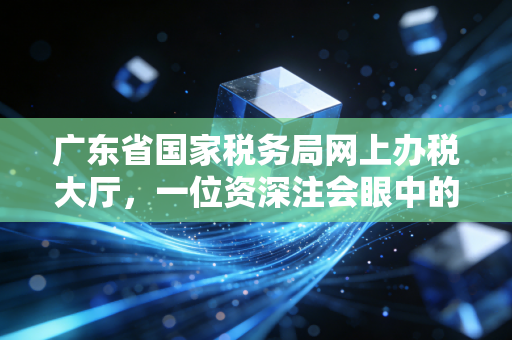 广东省国家税务局网上办税大厅，一位资深注会眼中的数字化征途与实战心法