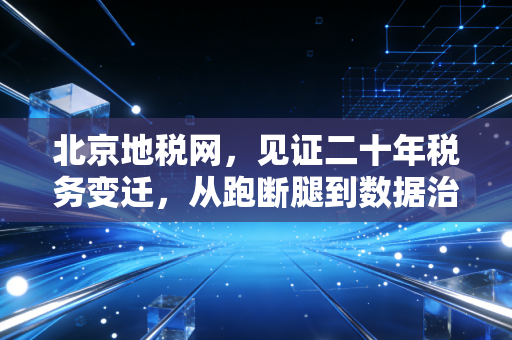 北京地税网，见证二十年税务变迁，从跑断腿到数据治税的深刻感悟