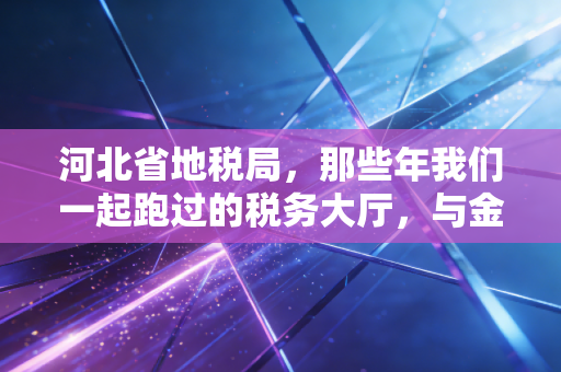 河北省地税局，那些年我们一起跑过的税务大厅，与金税四期下的合规新思考
