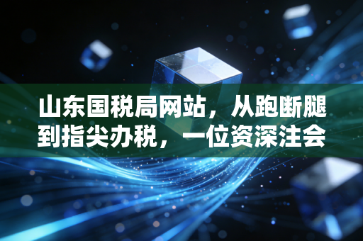 山东国税局网站,从跑断腿到指尖办税,一位资深注会眼中的数字化税务变迁