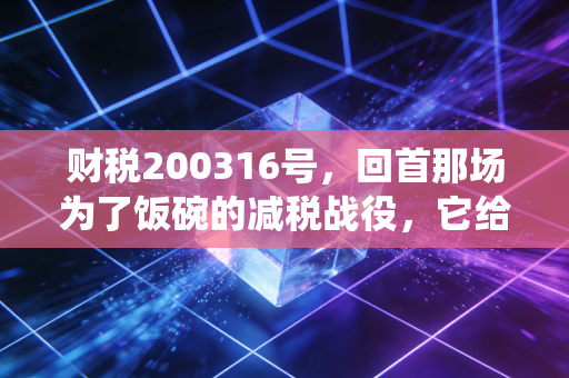 财税200316号,回首那场为了饭碗的减税战役,它给当下的我们留下了什么启示?