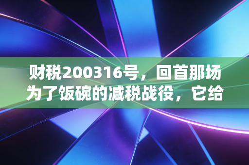 财税200316号,回首那场为了饭碗的减税战役,它给当下的我们留下了什么启示?