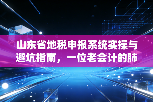 山东省地税申报系统实操与避坑指南，一位老会计的肺腑之言