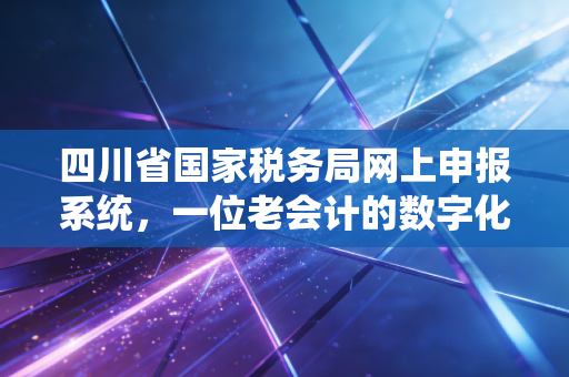 四川省国家税务局网上申报系统，一位老会计的数字化生存实录与深度思考