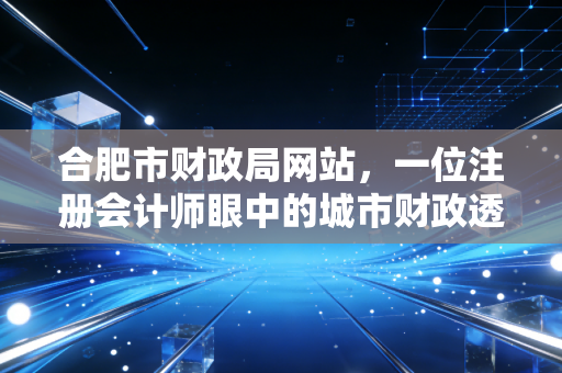 合肥市财政局网站，一位注册会计师眼中的城市财政透明度与企业机遇