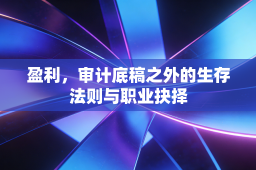 盈利,审计底稿之外的生存法则与职业抉择
