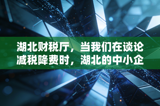 湖北财税厅，当我们在谈论减税降费时，湖北的中小企业到底经历了什么？