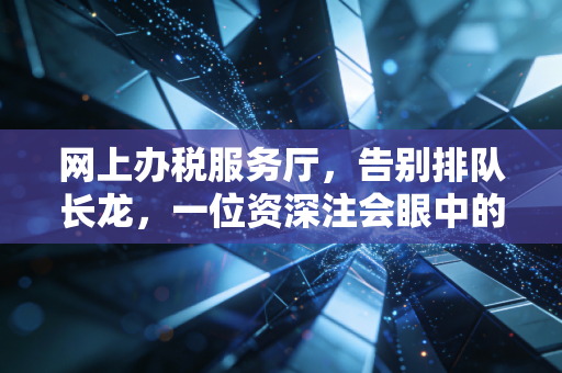 网上办税服务厅，告别排队长龙，一位资深注会眼中的税务数字化变迁