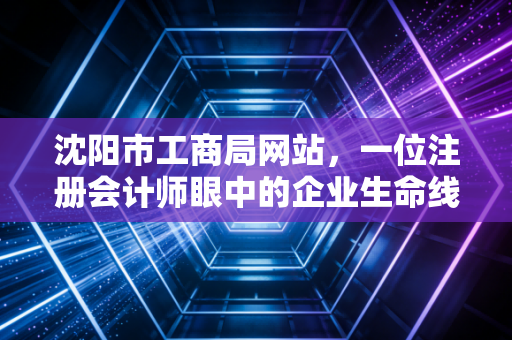 沈阳市工商局网站，一位注册会计师眼中的企业生命线与合规避坑指南