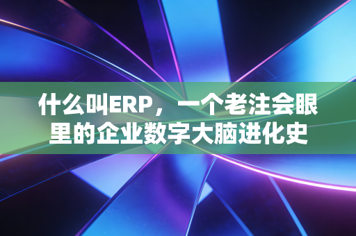 什么叫ERP，一个老注会眼里的企业数字大脑进化史