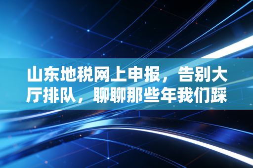 山东地税网上申报，告别大厅排队，聊聊那些年我们踩过的坑与数字化红利