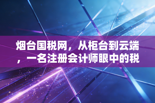 烟台国税网，从柜台到云端，一名注册会计师眼中的税务数字化变迁