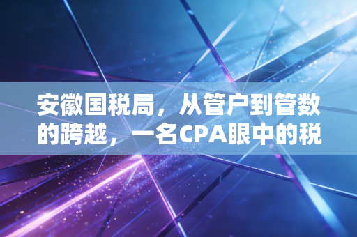 安徽国税局，从管户到管数的跨越，一名CPA眼中的税务合规新生态
