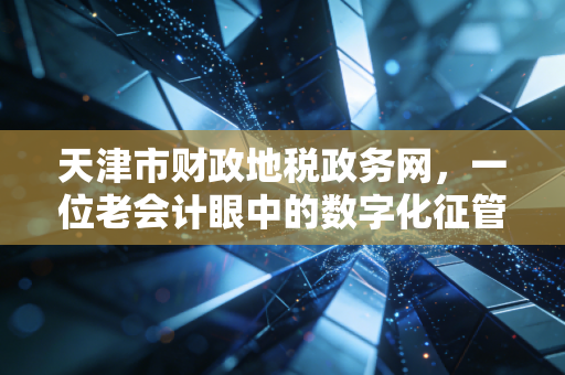 天津市财政地税政务网，一位老会计眼中的数字化征管变迁与便民服务